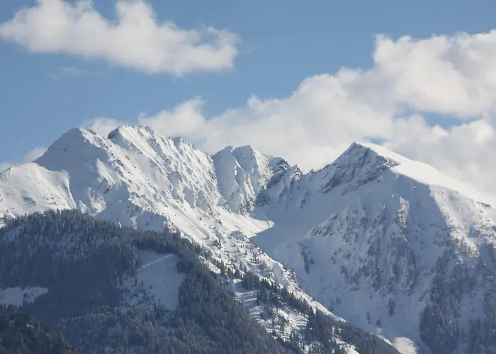 Lägenhet Benny By Interhome Bad Hofgastein